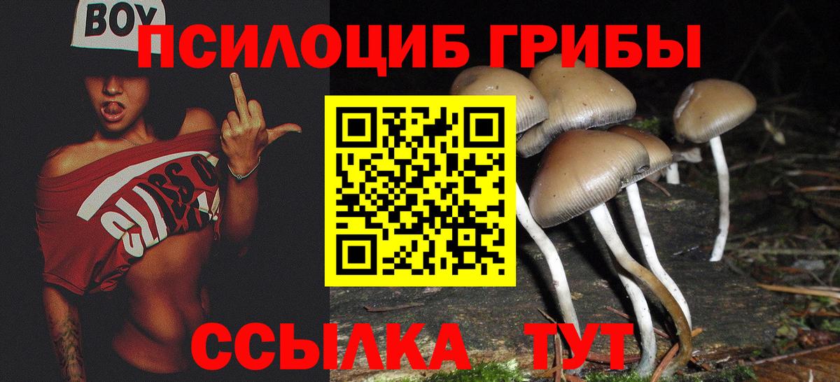 Псилоцибиновые грибы Psilocybine cubensis Пыть-Ях