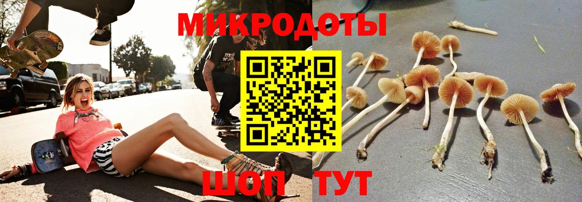 Пыть-Ях  Галлюциногенные грибы GOLDEN TEACHER  Вход с VPN 
